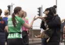 A dog giving high fives to runners