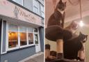 The Mad Catter in Eastbourne