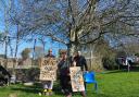 Protesters have been taking a stand beneath two trees that are due to be felled
