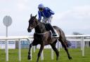 Energumene had a good win at Fairyhouse