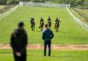 Horses and jockeys test the course at Brighton