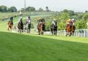 Action on the track at Brighton Racecourse.