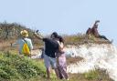 Visitors to Birling Gap have been standing too close to the edge