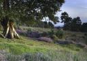 A new five-year nature recovery project will help to restore and enhance wildlife habitats across Wealden.