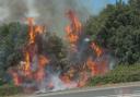 Fire on the grass verge near the A27 West Sussex