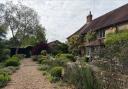 A rare opportunity to explore the gorgeous garden of celebrated Sussex gardener Rosemary Alexander is on hand in Rogate this Saturday.