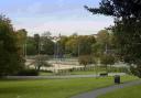 Dog poisonings have been reported in Hove Park