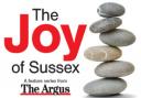 What is The Joy of Sussex