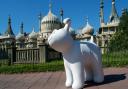 A Snowdog at the Royal Pavilion