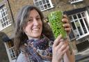 Abi Mawer at the World Pea Throwing Championship.
