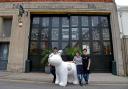 Sparky the Snowdog arrives at Bill's in Brighton to meet some of the team Picture: Liz Finlayson/Vervate
