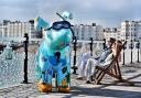 Snorkel the Snowdog on his first trip out on the Palace Pier yesterday Picture: Simon Dack/Vervate