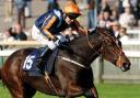 Philip Robinson riding Perfect Star at Newmarket Race course.  Picture: Sean Dempsey/PA