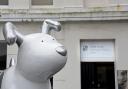 Snowdog sponsor Griffith Smith Farrington Webb is organising a selfie challenge of the charity art trail Picture: Liz Finlayson