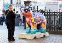 Smart Vibes Snowdog attracting an admirer outside Brighton Railway Station Picture: Simon Dack
