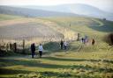 NATIONAL PARK: The South Downs
