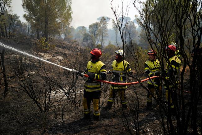 Firemen use a hose to extinguish a fire in a forest near Le Luc (Daniel Cole/AP)