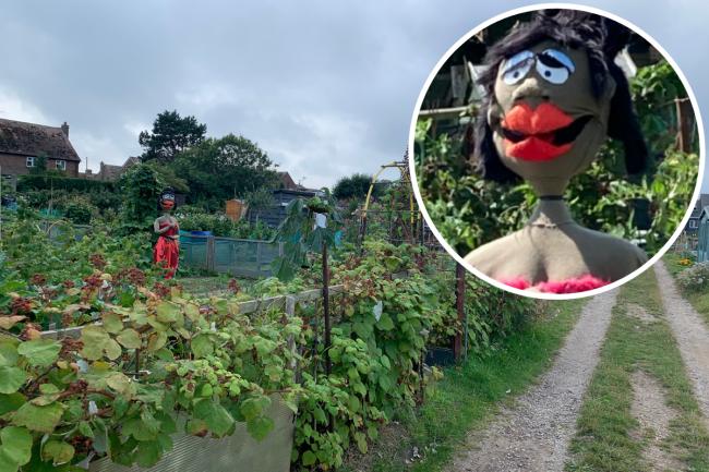 The dummy is on an allotment in Cornwall Avenue, Peacehaven.