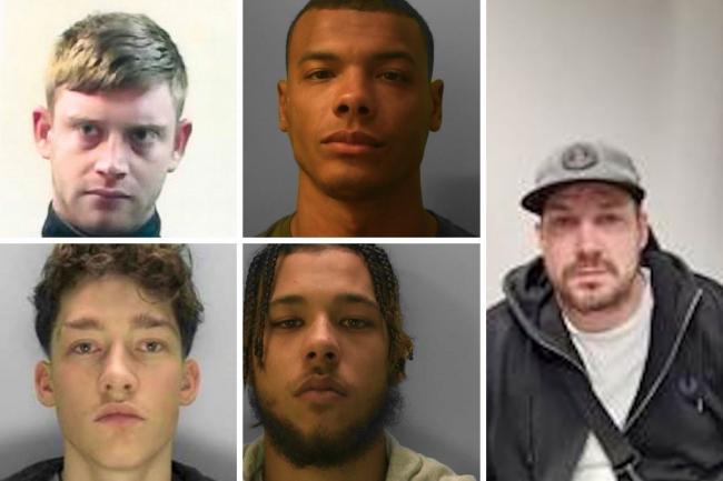 These are the seven most wanted men in Sussex
