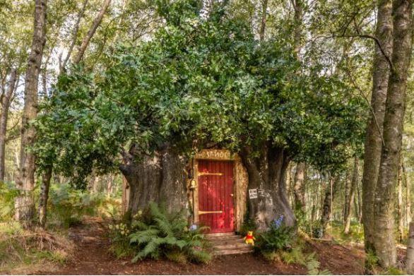The Argus: A Winnie-the-Pooh inspired house in Ashdown Forest