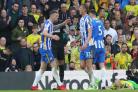 Brighton's Shane Duffy congratulates Dan Burn on his goal-saving tackle. Picture Richard Parkes