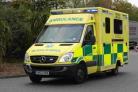 Man, 79, suffers arm injury in dog attack