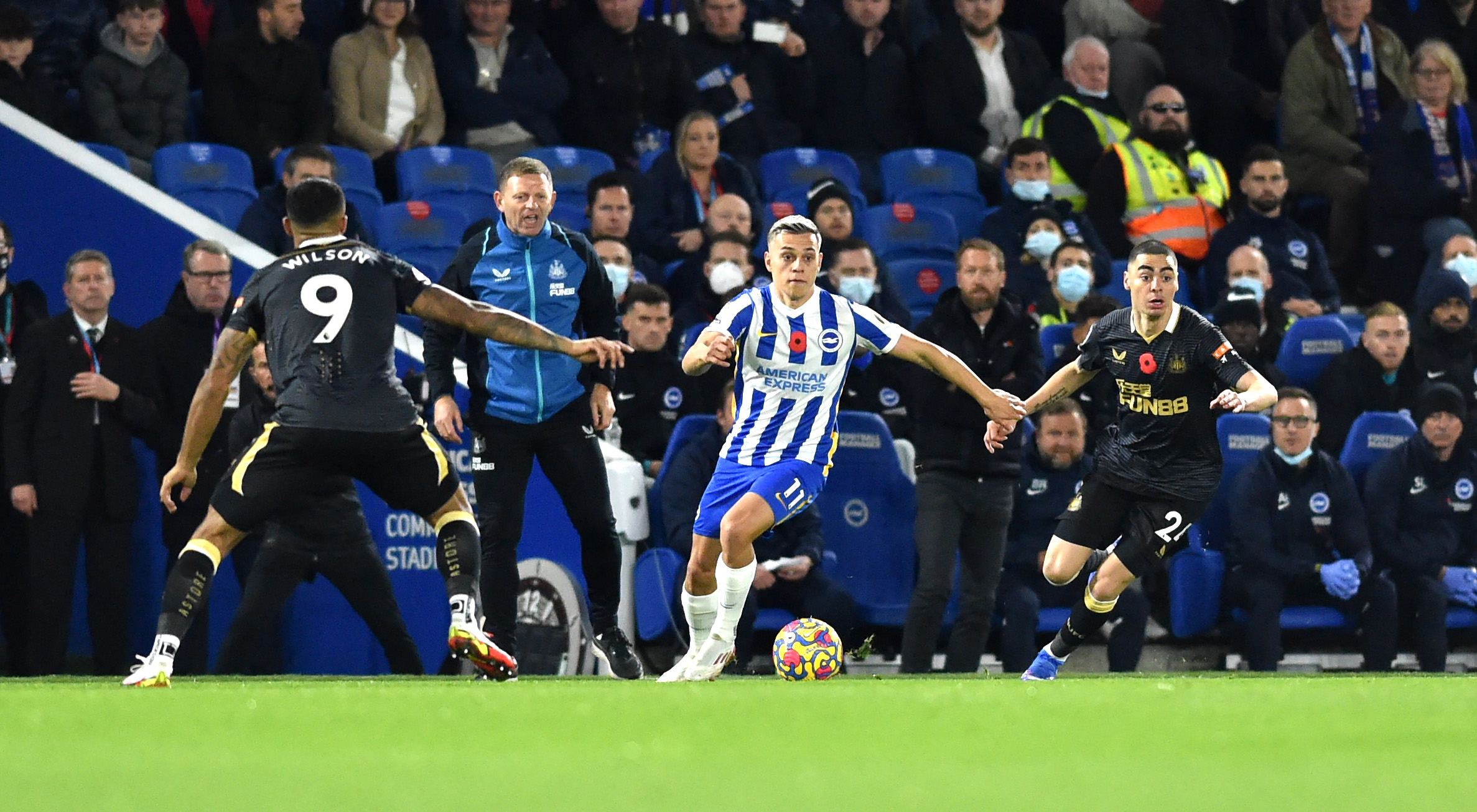 Brighton player ratings in 1-1 draw with Newcastle