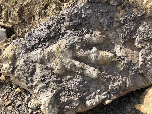 The Argus: The largest dinosaur footprint ever found in Yorkshire, discovered by archaeologist Marie Woods whilst she was collecting shellfish on the beach. Picture: PA