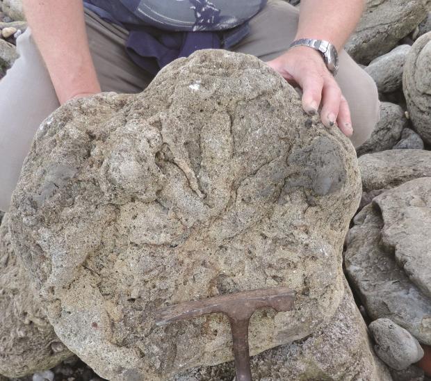 The Argus: A photo from the University of Portsmouth showing a Theropod footprint, some of the last dinosaurs on UK soil, found close to the white cliffs of Dover. Picture: PA