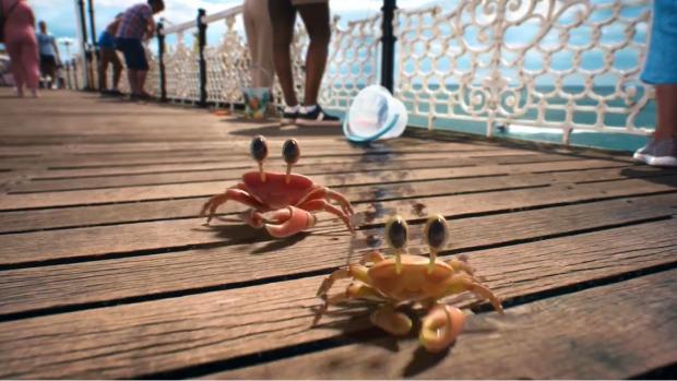 The Argus: New Freesat advert filmed on Brighton Palace Pier using CGI crabs 
