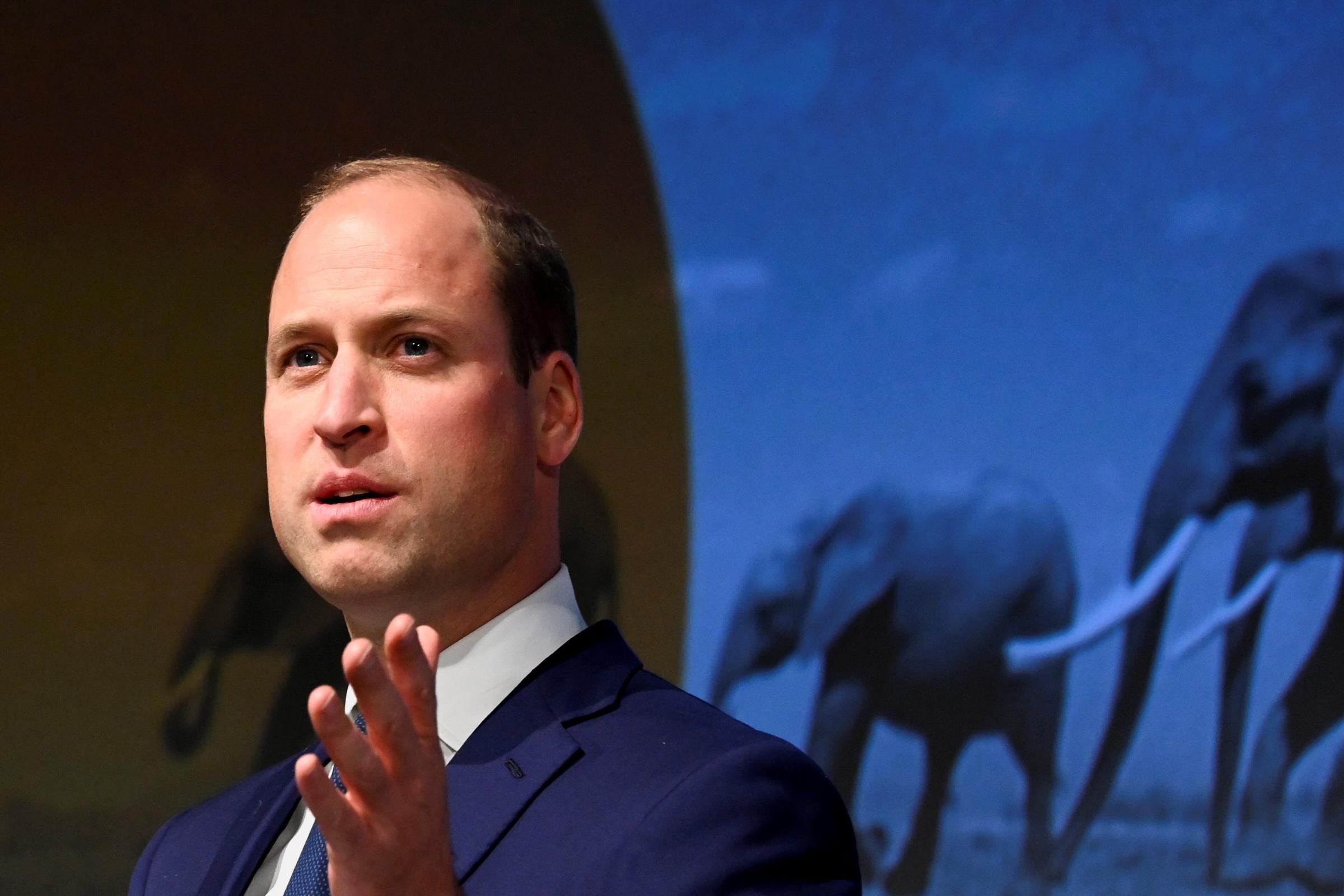 Prince William issues call to action as he pays tribute to conservationists - Vimarsana News