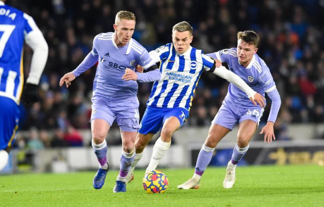 Leandro Trossard has been in fine form for Brighton and Hove Albion this season