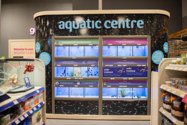 The Argus: There is an aquatic centre in the new Pets at Home store in Brighton