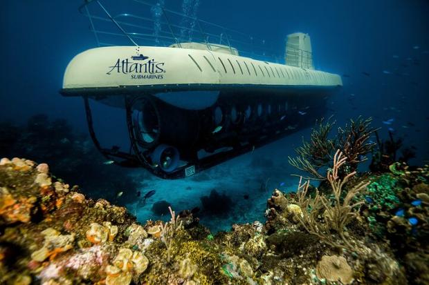 The Argus:  Atlantis Submarine Expedition in Cozumel - Cozumel, Mexico. Credit: TripAdvisor