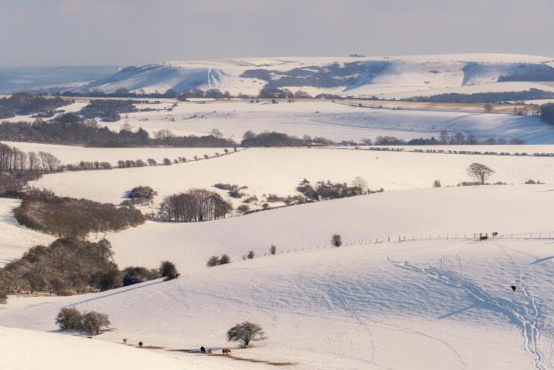 The Argus: Ditchling Beacon: credit - Sam Moore