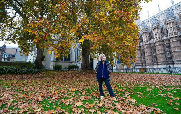 The Argus: Joanna Lumley in Old Palace Yard, London, following her victory on banning detonation as a means of clearing underwater unexploded ordnance for offshore windfarm construction.