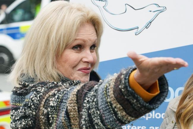 Ab-Fab star Joanna Lumley has been made a dame