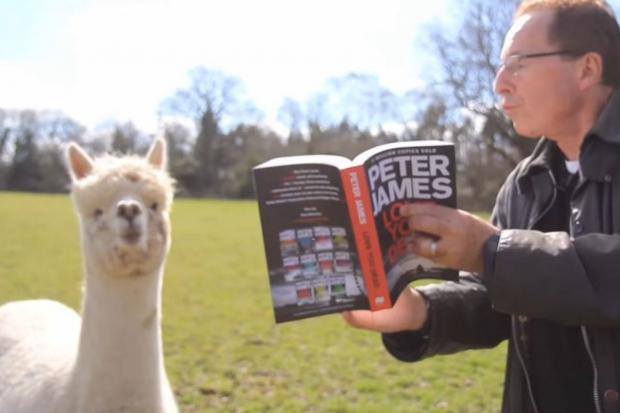 The Argus: Peter James with his pet alpaca 