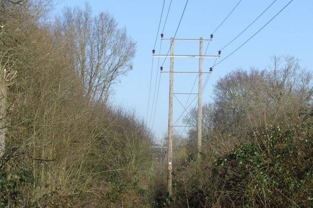 The Argus: Trees along the corridor in Barcombe were stripped back for the powerlines