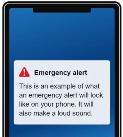 The Argus: What a government emergency alert will look like. Picture: gov.uk