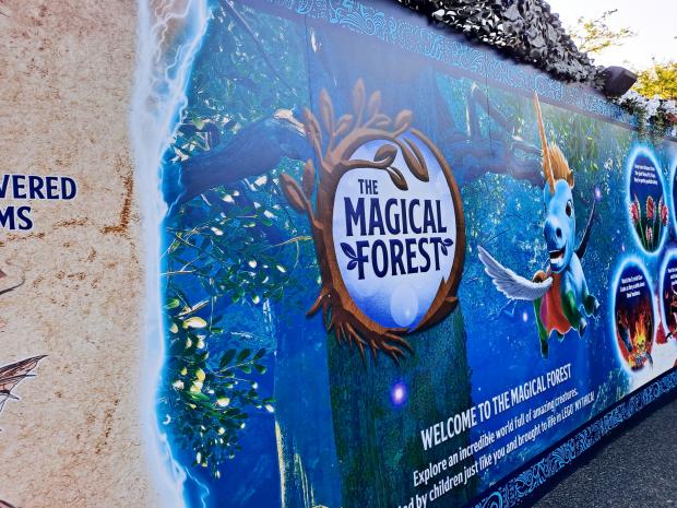The Argus: The Magical Forest. (Emilia Kettle)