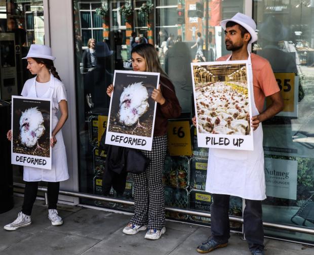 The Argus: Protesters held placards displaying images of chicken farms 