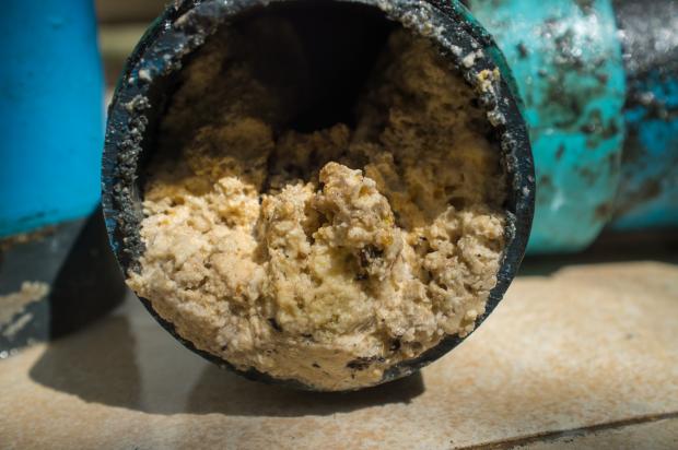 The Argus: Fat can harden in the pipes 