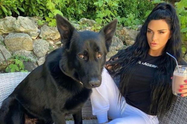 Katie Price with her alsatian Sparkle, who died in 2020