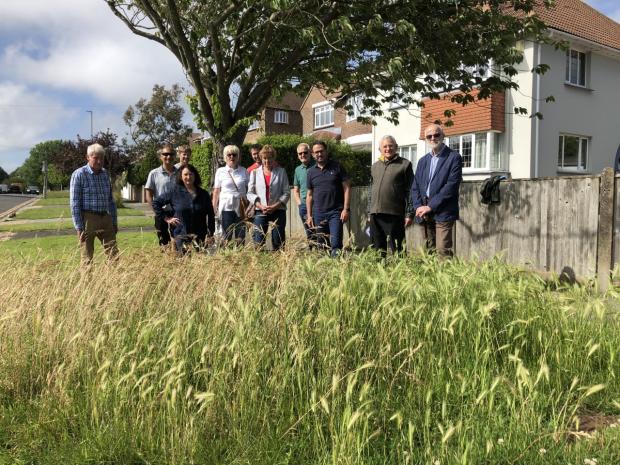 The Argus: Residents have expressed concerns about insects and ticks around the overgrowing verges