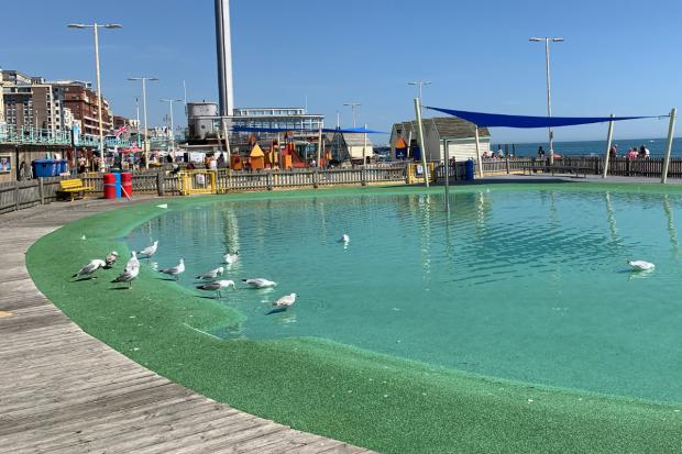 The Argus: Only seagulls have been able to use the pool since its closure