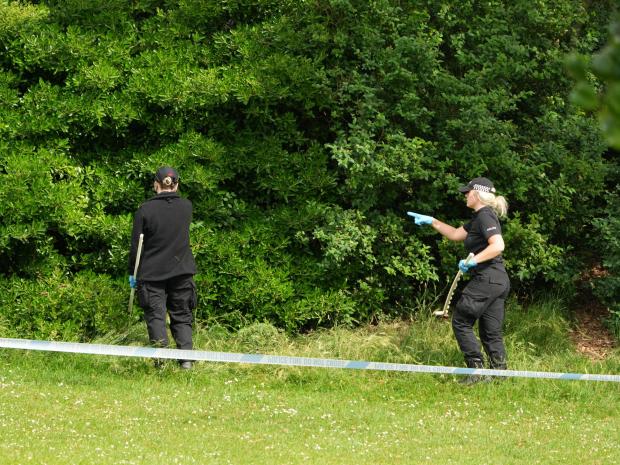 The Argus: Search teams in the park