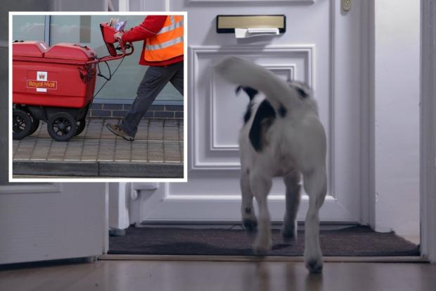 Brighton among worst cities for postal worker dog attacks