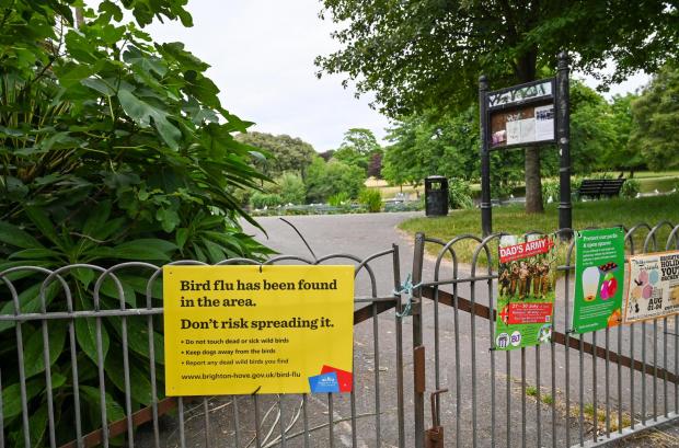 The Argus: Signs in Queen's Park