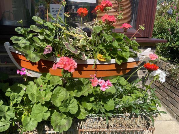 The Argus: Wire trough and boat planters